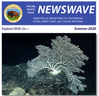 Newswave Summer 2020 Photo Issue