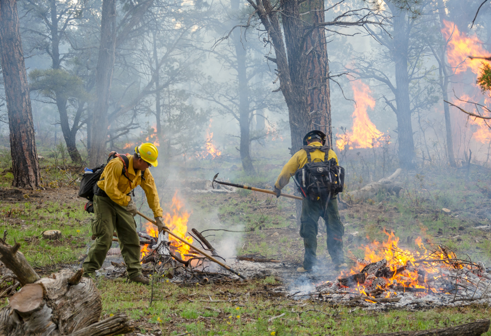 Two firefighters monitor burning piles of debris in a forest.