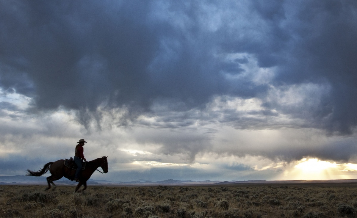 A man on a horse rides through shrub grass landscape with stormy, dark blue clouds overhead