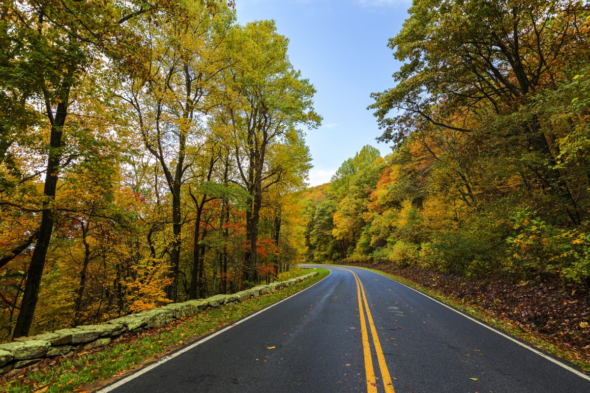A road winding through trees with autumn-colored leaves on Skyline Drive