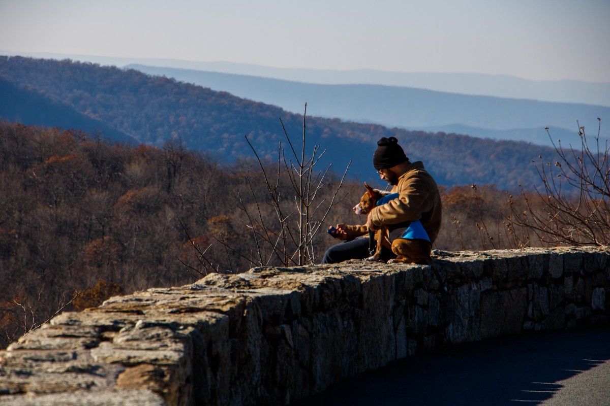 A bearded man sits on a low rock wall hugging a brown dog sitting next to him as they look out at a landscape of forested mountains.