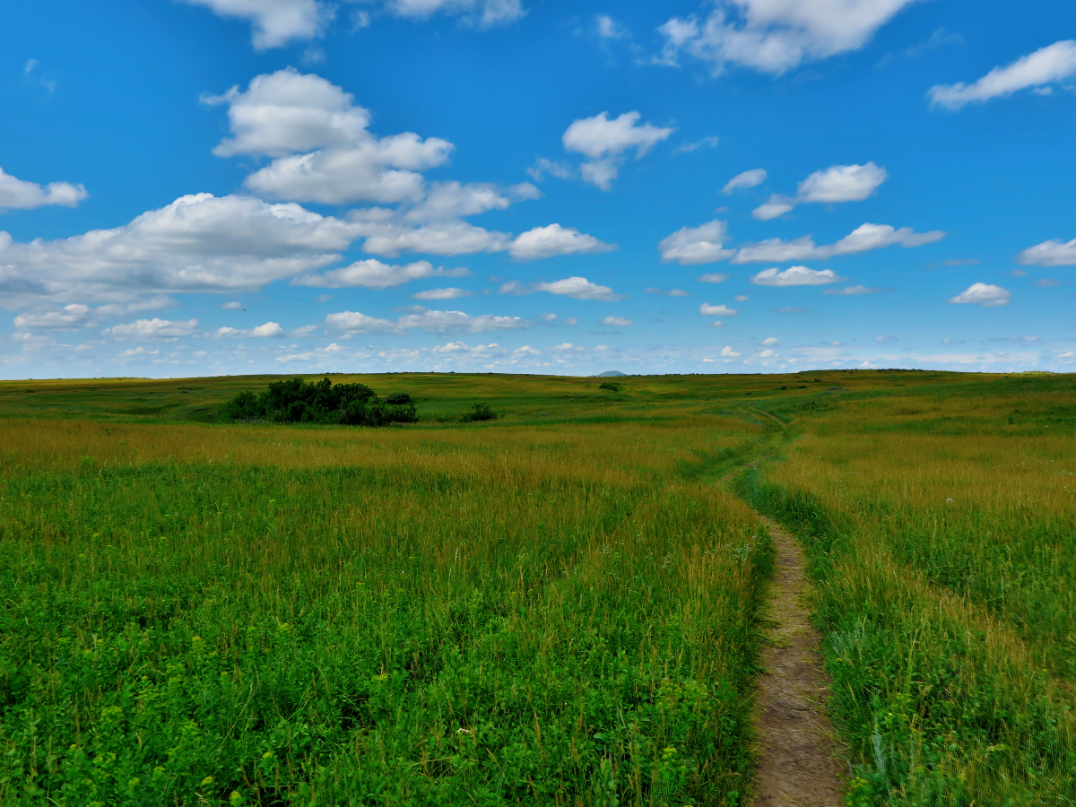 A narrow dirt trail runs across a grassy plain under a bright blue sky.