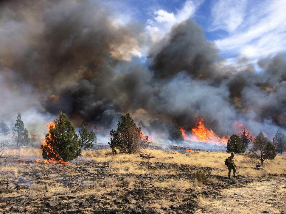 Smoke rises from a raging fire on a prairie, as a lone firefighter walks just outside the flames. 