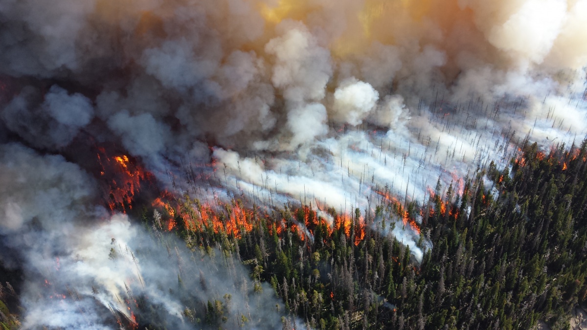 A wildfire burns in Yellowstone National Park