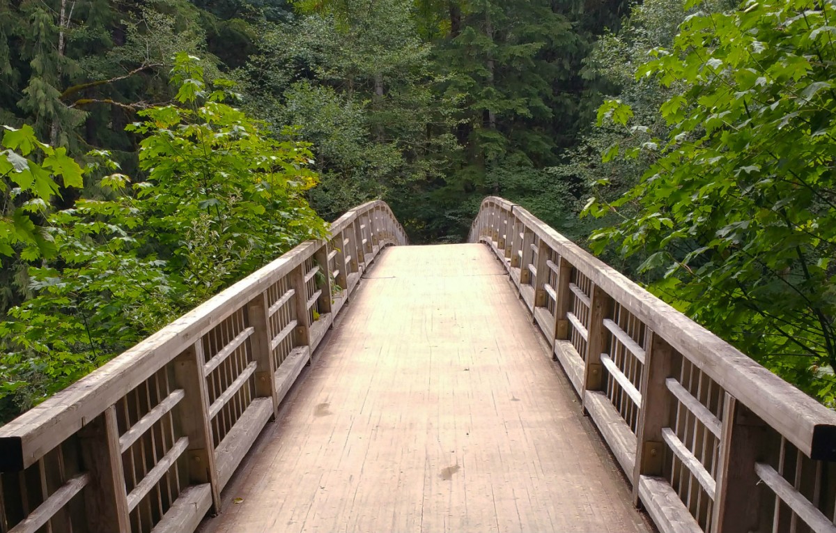 A smooth wooden bridge with tall handrails leads straight into woods.