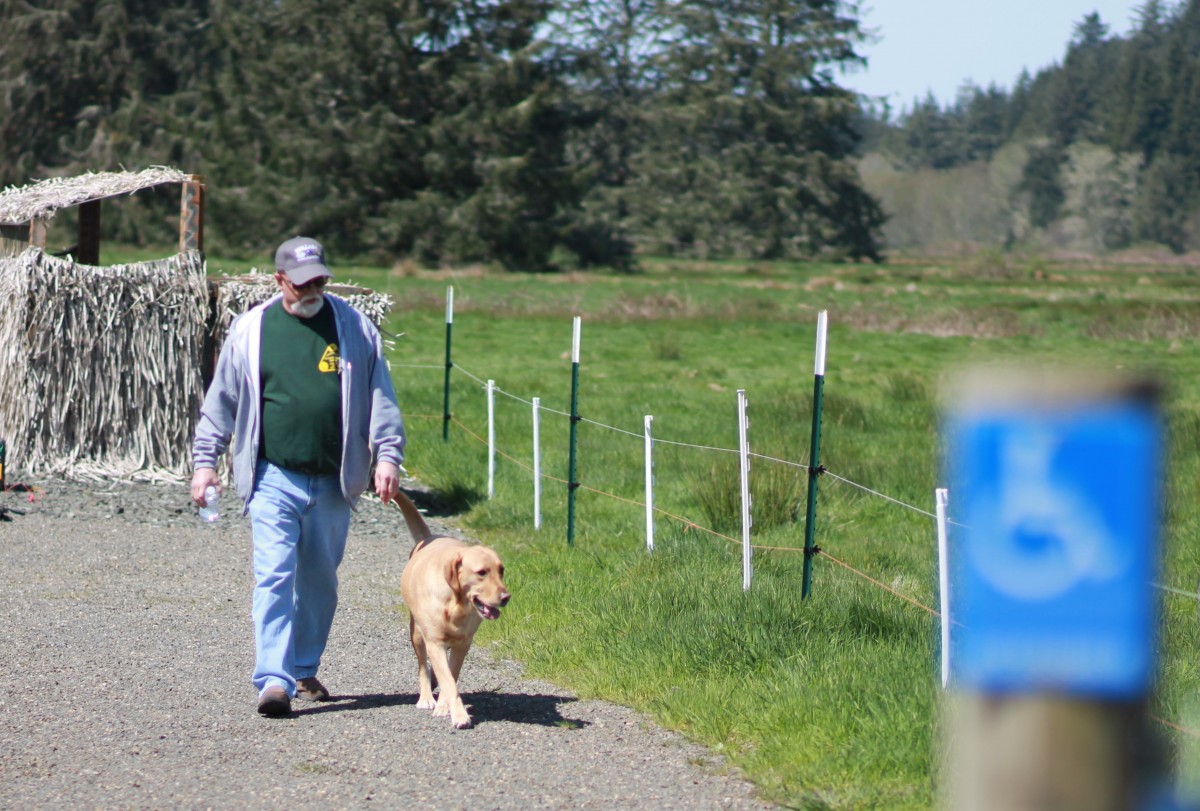 A man and his golden dog walk on a gravel path towards an accessibility sign unfocused in the foreground next to a green pasture with tall forest trees in the background.